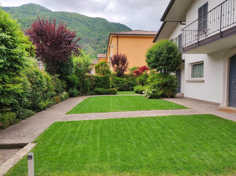 Prato rigoglioso con giardino panoramico