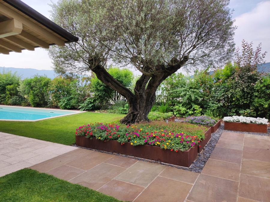 Potatura scultorea con piscina