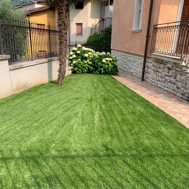 Posa prato festuca — risultato finale curato